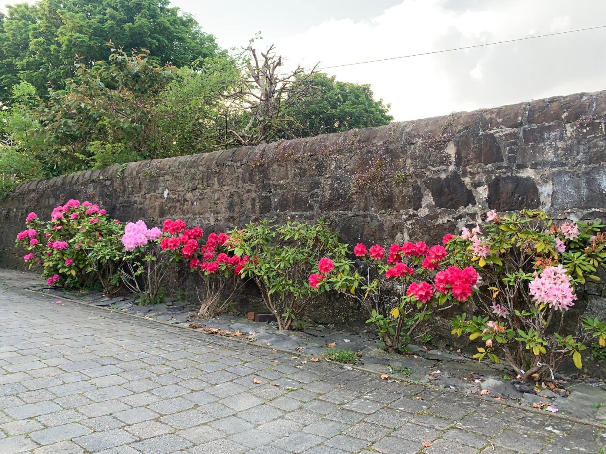 Hotel Braidmead House Irvine  Exterior foto